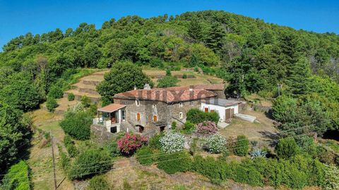 Süd-Cévénnes, nur 25 km von Alès entfernt Cevennen-Bauernhaus aus dem 19. Jahrhundert in dominanter Lage mit atemberaubendem Blick auf das Tal. Eingebettet in ein Grundstück von ca. 6,5 Hektar bietet dieses Anwesen eine wahre Oase der Ruhe und des Fr...