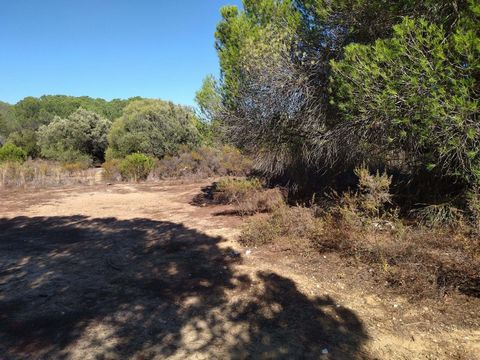 Rustic land with 7640m², located in Goldra de Baixo - Faro - with good access and wonderful views. This property has an old lime kiln. Just a few minutes' drive from Loulé and Faro, as well as beautiful and idyllic white sand beaches. In other words,...