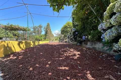 Identificação do imóvel: ZMPT570586 This charming farm has been very well cared for and maintained over the years by the owners' family and has a total area of 16,940 sqm, including an urban plot of 840 sqm where a beautiful building with 183 sqm of ...