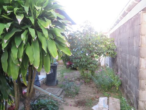 photo no. 2