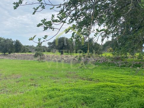 Large and Flat Land in Countryside in Estoi, Algarve. Rustic land with a total area of 6,742 m² totally flat, ideal for those looking for a large space in the middle of nature, whether for agricultural cultivation, leisure projects or other investmen...