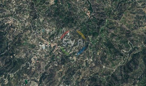 For sale, Land plot, in Agros. The Land plot is For development, With electricity supply, With water supply, the building factor is 90 and the coverage ratio is 50%. It is suitable for Investment, in Residential. Price: €106.000. SVA Estates