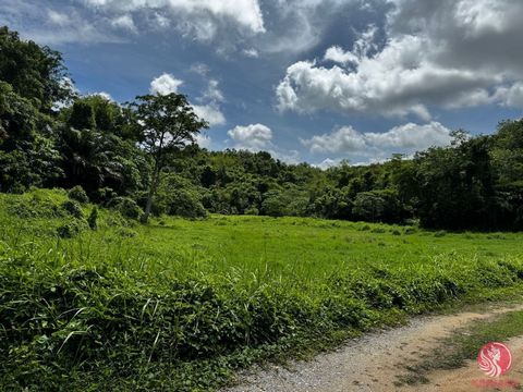 Welcome to an extraordinary opportunity to embrace a lifestyle of luxury and tranquility on this remarkable 16,000 square meter parcel of land, nestled in the enchanting Layan, Thailand. This premier property is enveloped by lush tropical landscapes ...