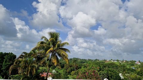 Local/bureau ou entrepôt à vendre BAIE MAHAULT (971) à 10 minutes de Jarry