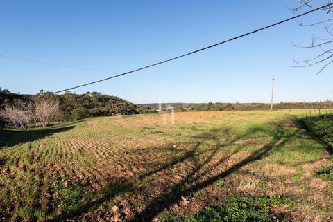 Located in Aljezur. It is on a land with a size of 6 hectares that we find an old agricultural unit with a total covered area of 1,800 sqm. It’s not every day that we come across a property of this size in the heart of the Costa Vicentina. The old wa...