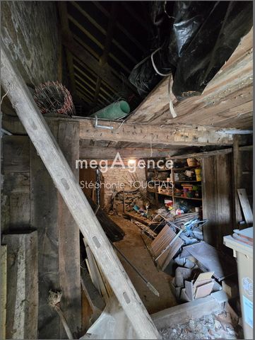 photo no. 14