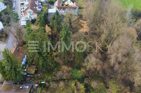 large building plot in a top location in Erlangen For sale is an exclusive building plot in one of the most sought-after locations in Erlangen, directly on the idyllic Rednitzwiese. This unique area combines the charm of a natural environment with th...