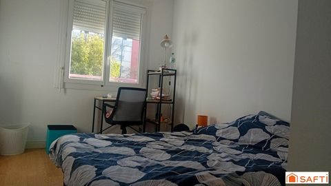 photo no. 5