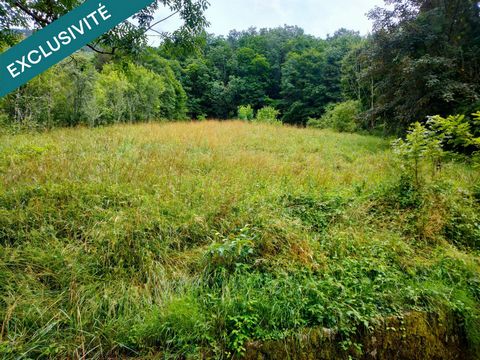 VERGER A VENDRE A SALINS LES BAINS JURA