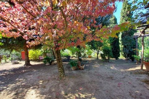 Enjoy your holiday in this natural corner of Tuscany. This holiday home is right outside Fiano and features a private pool in the beautiful surroundings. Ideal for relaxing holidays with the family. The property is 2 km from Fiano di Pescaglia. The c...