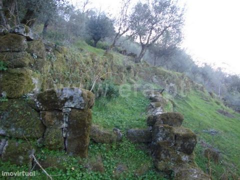 Land located in the most Portuguese village with good views and composed of olive trees, a mine and feasibility of construction. Opportunity. Excluded from the SCE, under Article 4, decree-law No. 118/2013, of August 20.