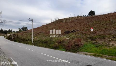 Land for sale for construction with a total area of 45,800 m2. Excellent location and good sun exposure. Business opportunity! Come visit! Real, Amarante. Ref.: MC09141 FEATURES: Land Area: 45 800 m2 Area: 45,800 m2 Useful Area: 45 800 m2 Energy Effi...