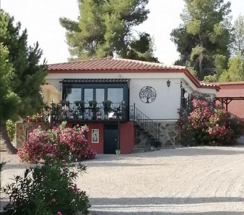Do you want to leave the Netherlandsheadingto Spain horses and other pets Magnificent detached farmhorse farm of 65 hectares 65000m2 for sale in the interior of Valencia surrounded by nature with an excellent access road and beautiful routes through ...