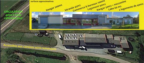 To discover, Ideal investor or Professional! Real estate complex of 2007: Large Hangar (200m2), Veranda (45m2), Shops and offices (100m2), Housing, Hangar (50m2) + Mezzanine, Ideal catering laboratory, reception organizer (60m2) and 2 studios with ga...