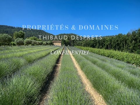 Land • About 46 hectares of land, woods, vines, orchards, olive trees, truffles • Vineyard of around 20 hectares in the Luberon Appellation (Syrah, Grenache, Cabernet Sauvignon, Rolle, Viognier, etc.) and 2.5 hectares of land 20 hectares of wood. • W...