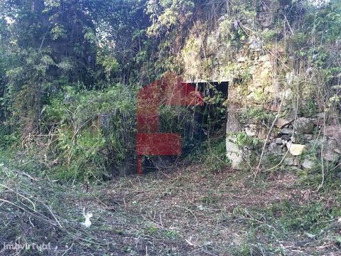 For sale Ruin with 2000m2 of flat land; It has a water well; Good access; Quiet place!