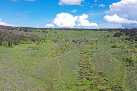 Pine Springs Ranch - 160 acres backing to very good National Forest! The property lies in the heart of the Routt National Forest, at an elevation of 8,800ft and is surrounded by endless National Forest. The park like setting offers seclusion, endless...