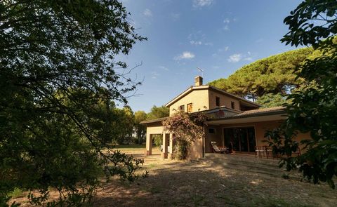 Orbetello Villa zu verkaufen Im Pinienwald von Feniglia, nur 400 Meter vom Meer entfernt, bieten wir eine seltene Gelegenheit, umgeben von 4.800 Quadratmetern privatem Garten. Die in den 70er Jahren erbaute Villa zeichnet sich durch große verglaste Ö...