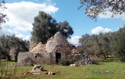 For sale is a lovely and characteristic complex of trulli and lamia to be renovated in the countryside of Ceglie Messapica, a few kilometres from the town centre, located on extensive land. The property is made up of two buildings a few dozen metres ...