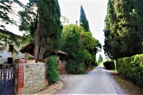 Historic villa dating back to the 15th century in a panoramic position in the heart of the Val di Chiana, 3 km from Castiglion Fiorentino and 14 km from Cortona. Quiet area, but at the same time close to all amenities. Immersed within an 8-hectare pr...