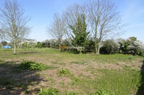 AGENCE COTE PARTICULIERS TREBEURDEN - Flat land, deemed constructible (UC zone), in the center of Trebeurden, at the end of a dead end, (Possibility to resell a part: divisible land.) Shops, School, Sports and cultural leisure a few steps away. Infor...