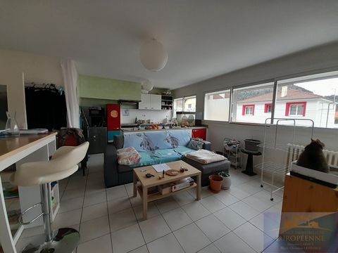 EXCLUSIVE TO EUROPEAN AGENCY On the ground floor of a residence, type 3 apartment with cellar consisting of a furnished and equipped kitchen opening onto a double living room of 35 m2, two bedrooms (10 m2 and 11 m2) with cupboard, shower room and toi...