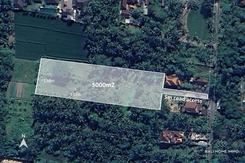 -   Situated in the heart of Ubud, this expansive property presents an exceptional opportunity for investment or development in one of Bali's most coveted destinations. Encompassing a vast land size of 50 are within a residential area, the potential ...