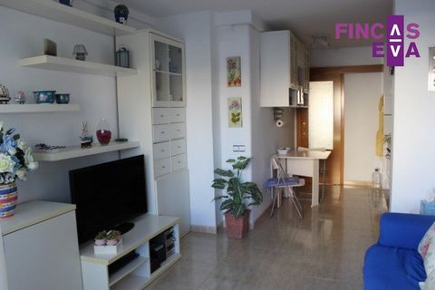 Just 100 meters from Altafulla beach, in the center, close to all services, pharmacy, parks, restaurants...APARTMENT with a double room, equipped kitchen-office open to dining room, dining room outside terrace, bathroom, gallery...Semi-new farm, ston...