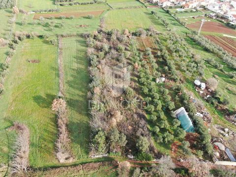 Location: Istarska županija, Marčana, Marčana. Marčana, surroundings, complex of construction-agricultural land with a total area of 3280m2. A few minutes' drive from Marčana there is a spacious land complex. The construction part consists of 750m2, ...