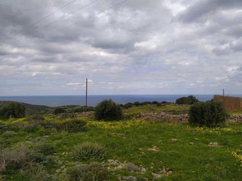 Located in Agios Nikolaos. Plot of building land, located in a quiet countryside right on the edge of the village of Selles, north of the famous and popular tourist resorts of Plaka and Elounda. The land is 260 meters above sea level, offering nice s...