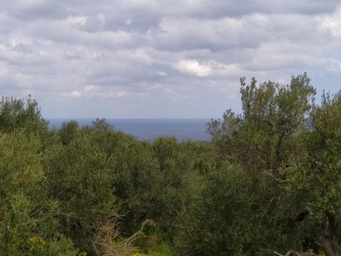 Located in Agios Nikolaos. A plot of building land, 835 square meters in size, right at the entrance to the village of Vrouchas, located north of the Elounda Bay, offering views of the Cretan Sea (in northern direction). The plot has immediate access...