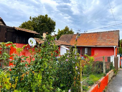 Come and discover this house to renovate, located between Strasbourg and Colmar, in a peaceful setting near the ponds of Matzenheim and the forest. Matzenheim is a very pleasant village, with its train station, private college, schools, health centre...