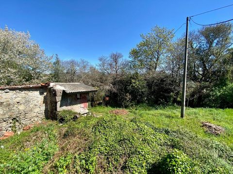 Land with a (ruin) area of 838 meters, has a project approved by the City Council for a detached house, with a gross construction area of 301 meters. This project is approved for a ground floor and first floor house, located on Rua José Vaz, Galegos,...