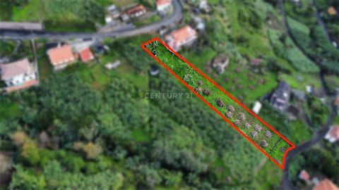 I present you this plot of 1450 m2 for development located in the parish of Porto da Cruz. Inserted in an area considered 