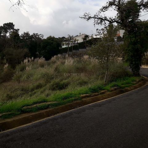 Plot of Land in Almargem do Bispo - Tapada de Vale de Lobos, Sintra. Located between the mountains and the sea. Just 5 km from the A16 (Cascais-Lisbon exit 11 Telhal / Vale de Lobos). Easy access to the main urban centers (12km from the town of Sintr...