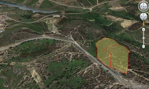 We are presenting a rustic plot of land measuring 18,680m2, made up of 2 plots for forestry use, where there is currently a eucalyptus plantation, in the Aldeia do Mato area of Abrantes. Aldeia do Mato is a town in the municipality of Abrantes, in th...