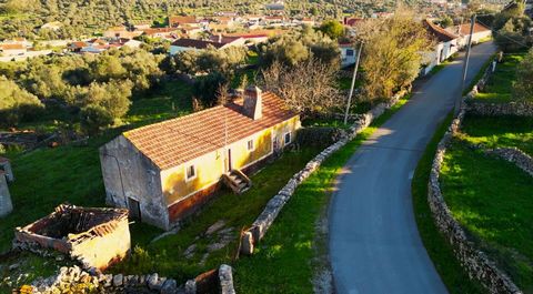 This charming little farm is located in Mendiga, 14 km from Porto de Mós, in the majestic Serra de Aire e Candeeiros. A farm with a total area of 3200m2, offering breathtaking views of the surrounding mountains, bringing with it the rich historical h...