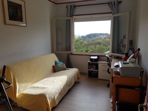 photo no. 17
