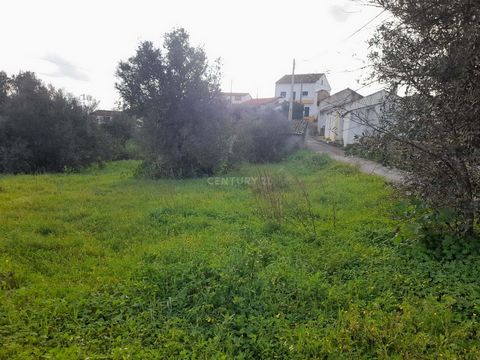Rustic land with 560m2, inserted in the urban fabric of the town of Torre Fundeira, about 40 minutes from Castelo Branco. Land with excellent exposure, good access, characterized by the existence of fruit trees and olive trees. Mains water and electr...