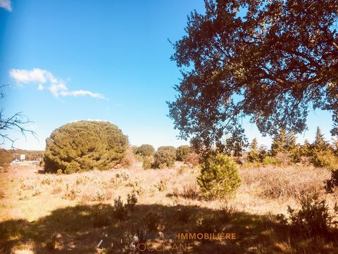ARGELES SUR MER - Agricultural land of more than 3500 m2. An 8 minute drive to the beach. Easy access by car. This land enjoys excellent visibility from the main road. A rare opportunity in the sector. To be visited without delay.