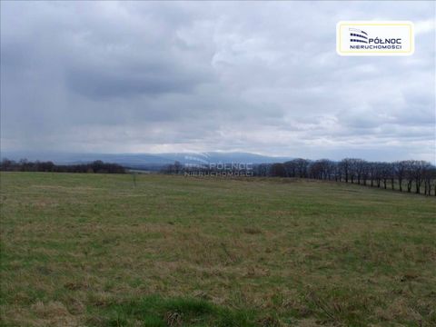 Four agricultural plots with a total area of 46.62 ha, located in the village of Rząsiny, Gryfów Śląski commune. The plots are located in one complex, separated by dirt roads, in the vicinity of agricultural land and forest. Access via asphalt and di...
