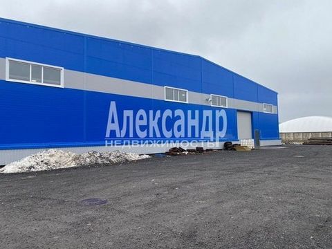Located in Мурино.