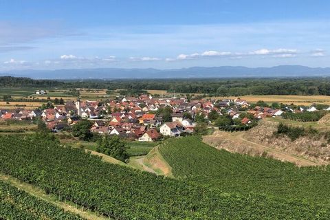 New holiday apartment on the Kaiserstuhl approx. 80m², 4-5 people, with 3 rooms, kitchen/bathroom. Two balconies with wonderful views of the vineyards.