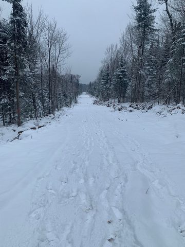 Hydro is on site for immediate connection. Large wooded lot in the middle of nature to build your house, cottage or rental cottage, all with a panoramic view. A haven of peace in St-Alphonse that gives you direct access to ATV and snowmobile trails. ...