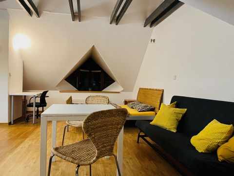 Accommodation in Červený kopec (Red Hill) location in Brno, in a quiet street with free parking close to the centre. The studio is situated on the 1st floor (without a lift) on the premises of a former hotel Rustikal with unconventional architectural...