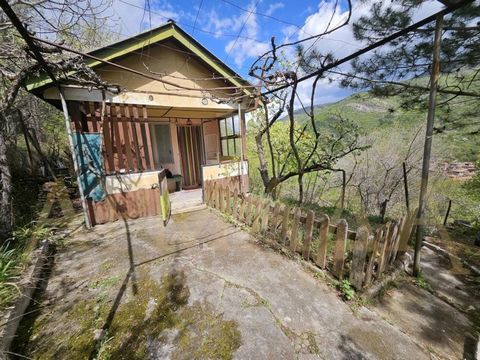 (offerta 7710) ARMADA IMOTI vi offre una villa ESCLUSIVA (bungalow) sopra il pittoresco villaggio di Bachkovo. Si trova nel punto più alto dei Monti Balcani accanto ad altre ville. Ha un terreno di 222 piazze, pieno di vari alberi da frutto e vigneti...