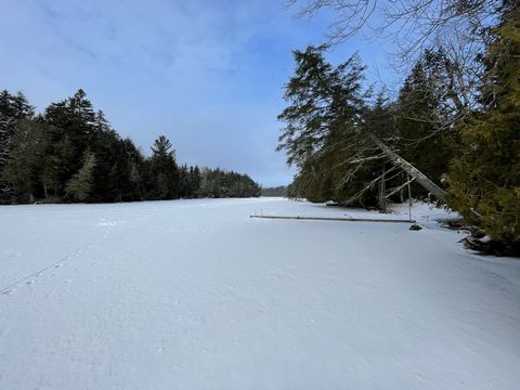 Over 62 acres of beautiful wooded land with a variety of tree types and your own private lakefront lot. A mix of flat and sloped land giving you the possibility to build your own private domaine or subdivide. Something unique and special in an area k...