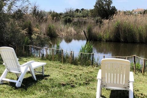 Gelegen op 2,5 km van het dorp Saintes Maries de Mer. Een ruime en authentieke beheerdershut van 100 M2, midden in de natuur, op zeer groot perceel midden in de flora en fauna van de Camargue, uitzicht op privévijver. 2,5 km van het dorp, stranden en...