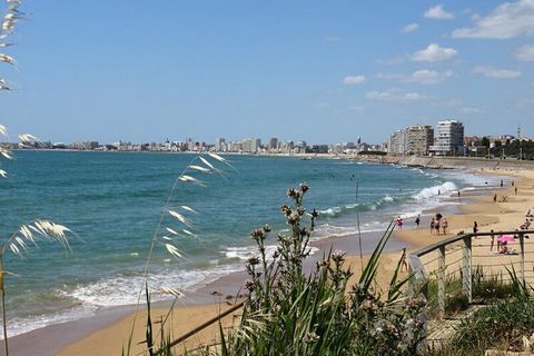 Scopri il quartiere Pironnière con la sua cittadina e i suoi negozi. Vicino alla spiaggia e alla costa selvaggia, con il suo famoso 