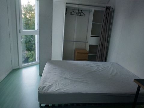 photo no. 1